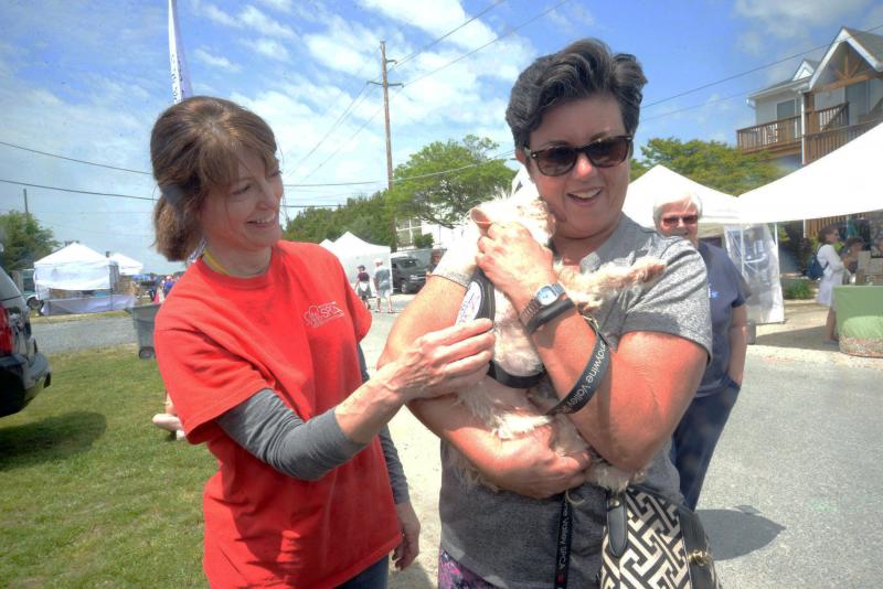The Brandywine SPCA had a booth at the arts fest, trying to find homes for dogs. Shown are SPCA volunteer Susan Petze-Roseldum, left, and Christine Ferber, getting a kiss from Toala. DBP Arts Fest
