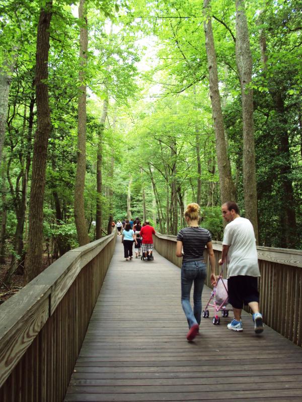 cape may ferry zoo trip