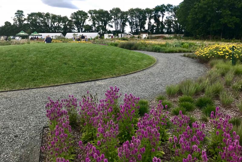 A grassy mound in the center of the Meadow Garden allows visitors to gain a broader view of the meadows.