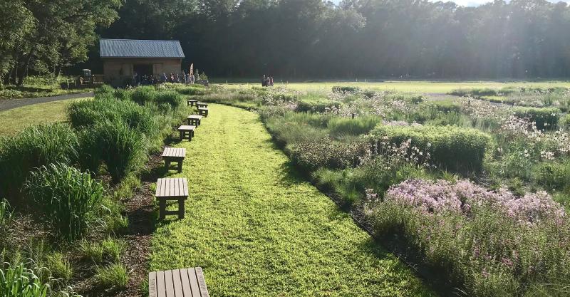 Grassy pathways lined with benches offer visitors lots of opportunities to stroll through the meadow garden and pause to take in the natural beauty of more than 70,000 different wildflower plantings.