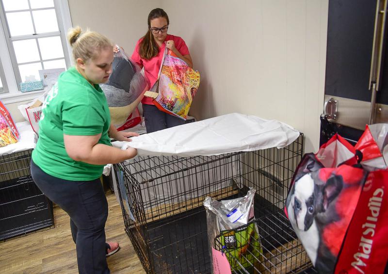 Dr. Mallory Alexander, right, of Avenue Veterinary Clinic in Milford, and her tech, Sarah Warren, prepare the examination rooms for the intake.