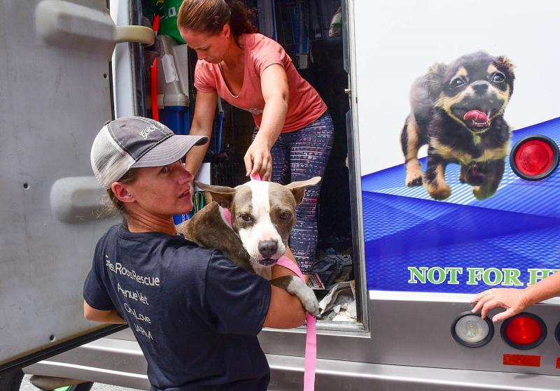 Karli Crenshaw, GRR Executive Director and founder, welcomes Chessy from One Love Rescue CEO and founder Karrie Bulski. DAN COOK PHOTOS