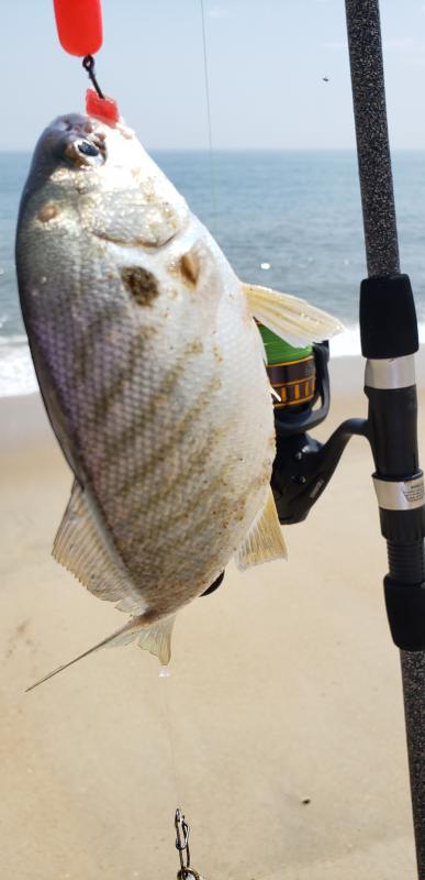 Cape fishing pier on fire with spot