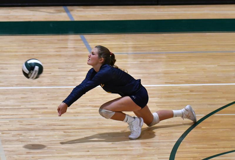 volleyball dig