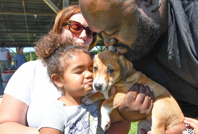 Harper Collick, 2, gives her newly-adopted puppy, Dewey, a big smooch, while her mother Katie and dad Billy look on. DAN COOK PHOTOS