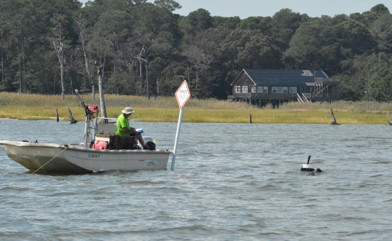 Herring, Guinea creeks have high nutrient concentration - CapeGazette.com