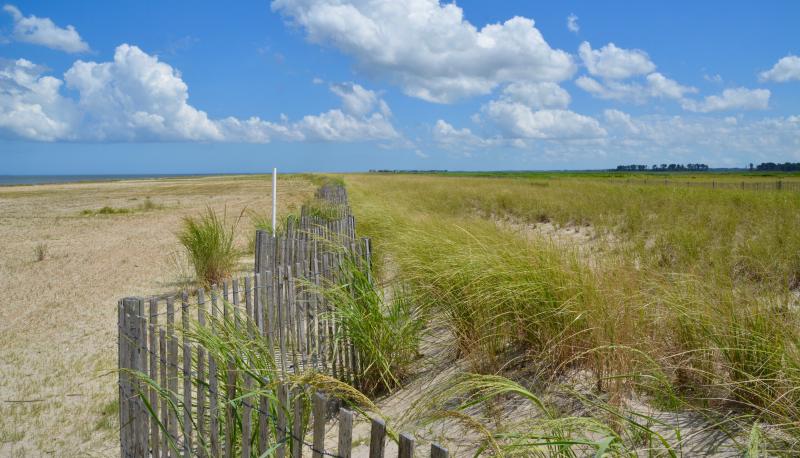 Two miles of beach were replenished during the Prime Hook National Wildlife Refuge project. In addition, a fence and sand were added to provide an additional protective barrier. RON MACARTHUR PHOTOS