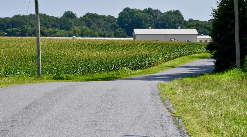 Sussex County Planning and Zoning unanimously gave conditional approval to Chase Oaks, a proposed 253-lot subdivision on Robinsonville Road. The farm in the background would border the proposed subdivision. RON MACARTHUR PHOTO