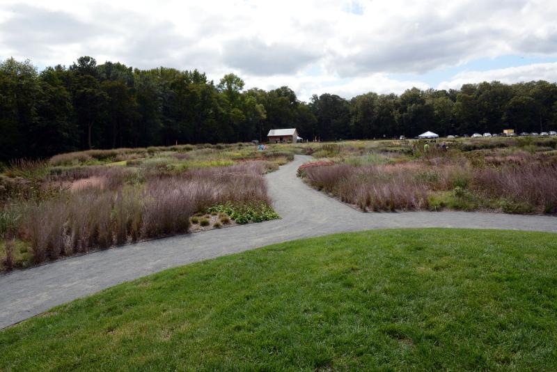 The Meadow Garden, designed by Piet Oudolf, a world-renowned Dutch landscape designer, is planted with 85 percent native plants and other pollinator-compatible species. Delaware Botanical Gardens