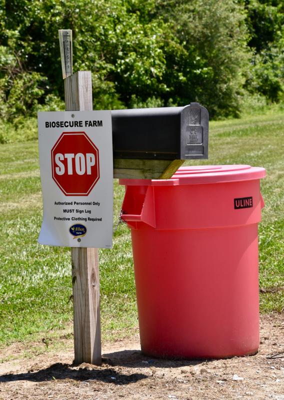 Biosecurity is serious business at local chicken houses. Anyone entering a house wears a protective suit to stop the spread of disease.