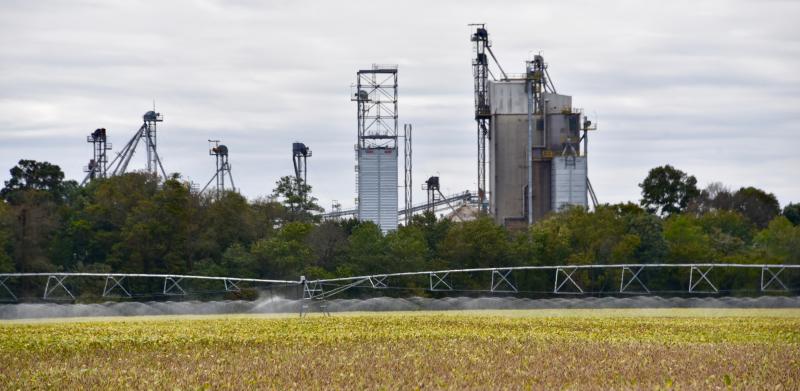 With the towers of Mountaire Farms grain facility in the background, wastewater is sprayed on a field along Maryland Camp Road, not far from the company’s new corporate office building.
