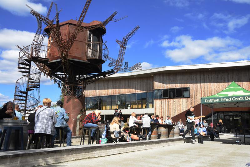 Dogfish Head in Milton served as a perfect outdoor venue for the Rehoboth Beach Jazz Festival. NICK ROTH PHOTO