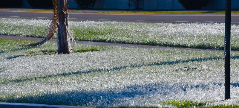 The early-morning sun catches ice crystals formed on the grass in front of Shell We Bounce along Route 9 near Lewes. Water from the irrigation system quickly froze Nov. 13. RON MACARTHUR PHOTO