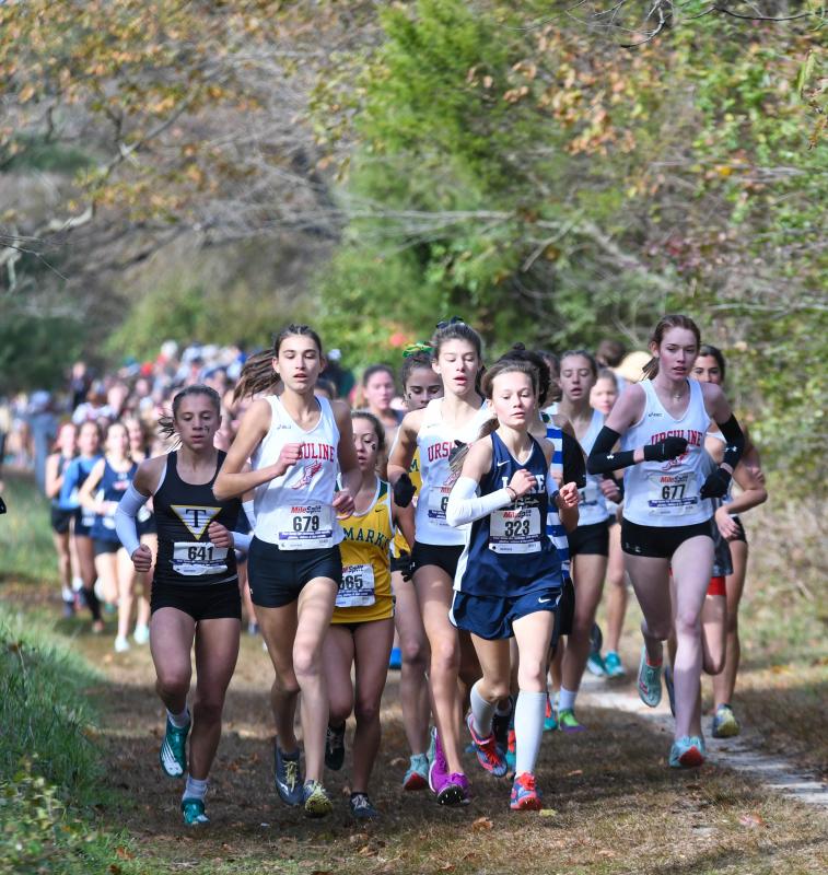 The Division II girls’ field 800 meters into the race at Killens Pond State Park. DAVE FREDERICK PHOTOS