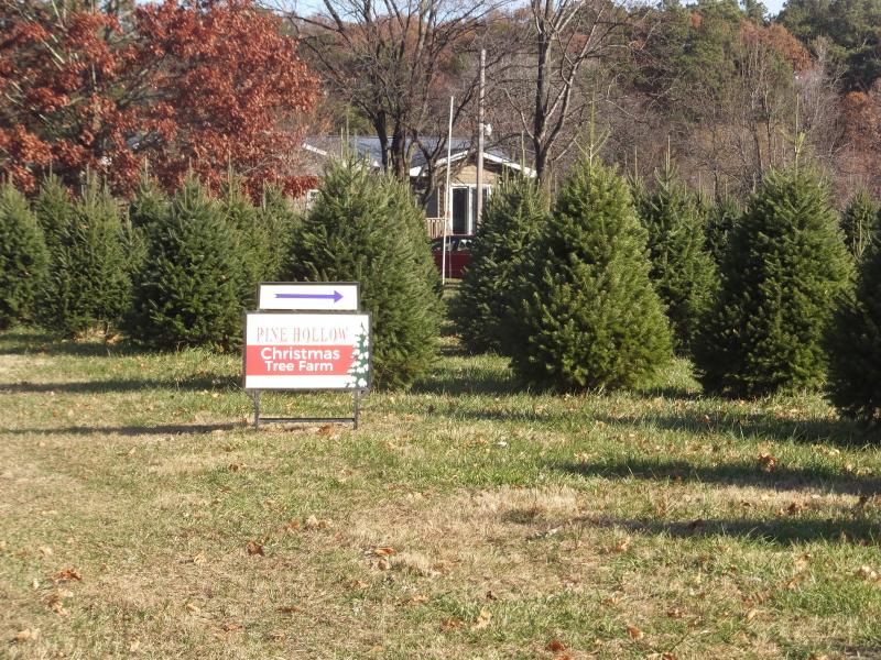 Service dog leads to social media backlash for tree farm Cape Gazette