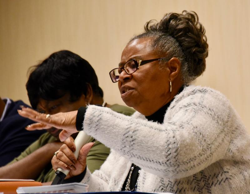 Jane Hovington, Sussex Democrats chairwoman, talks about her experience running for office in 2012. RON MACARTHUR PHOTOS