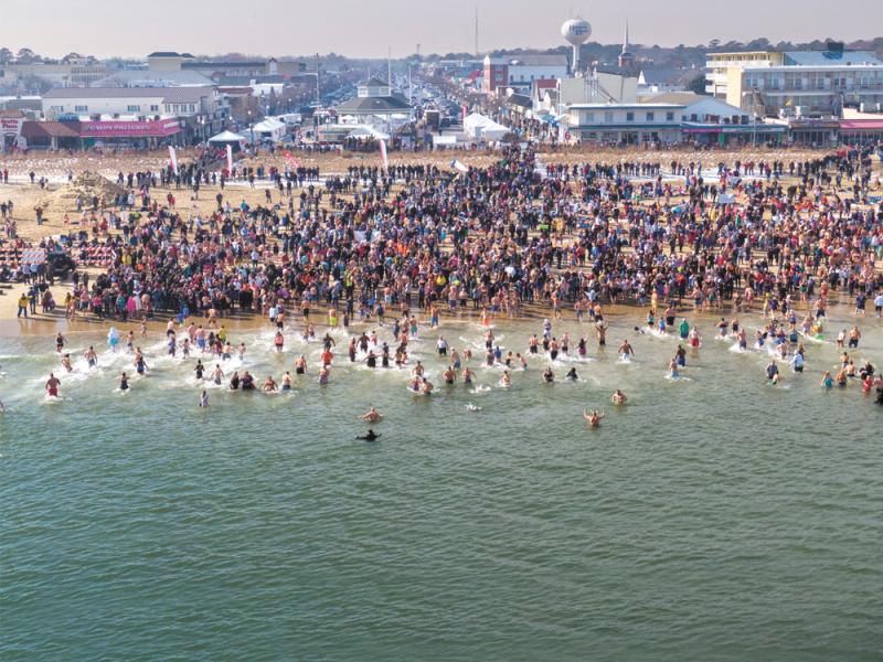 Lewes Polar Bear Plunge Weekend Festival Schedule Cape Gazette
