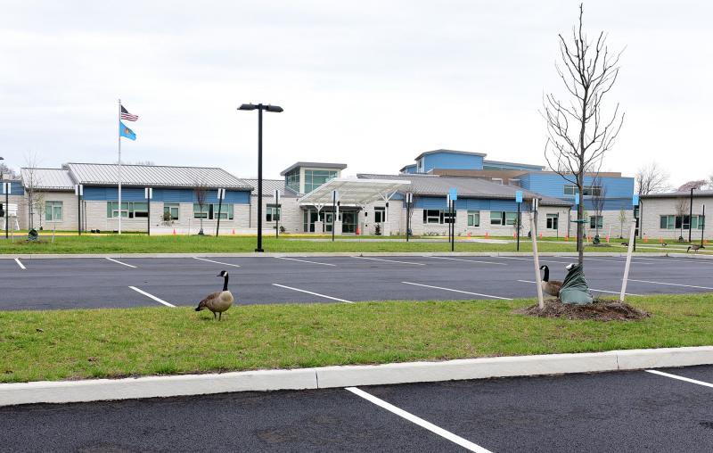 Geese feed in the empty parking lot at the new Rehoboth Elementary School March 21. DAN COOK PHOTO