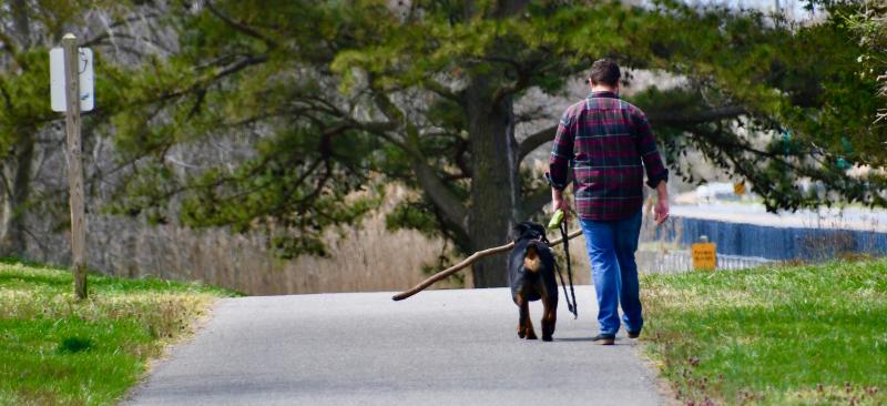 Carrying a 6-foot, social-distancing stick, there is no doubt how far to stay away from this man and his dog as they walk along Junction-Breakwater Trail in Lewes. RON MACARTHUR PHOTO