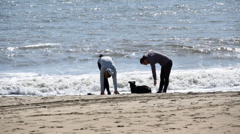 Taking advantage of a sunny day, a pair exercises on the beach near the Gordons Pond parking area near Rehoboth Beach. RON MACARTHUR PHOTO