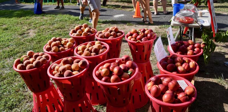 Uncertainty that local farmers markets will open will affect the availability and price of local fresh fruits and vegetables. RON MACARTHUR PHOTO