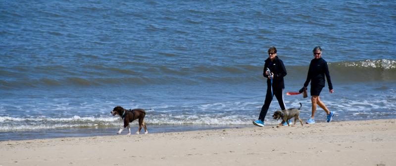 Walking dogs is a permitted activity on beaches in Cape Henlopen State Park. However, several access points to the beach have been cut off.