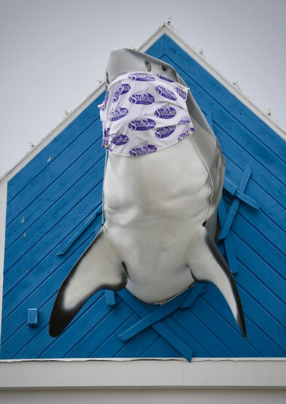 The Dewey Beach Starboard shark has a large face mask made by Print Coast to Coast in Lewes.