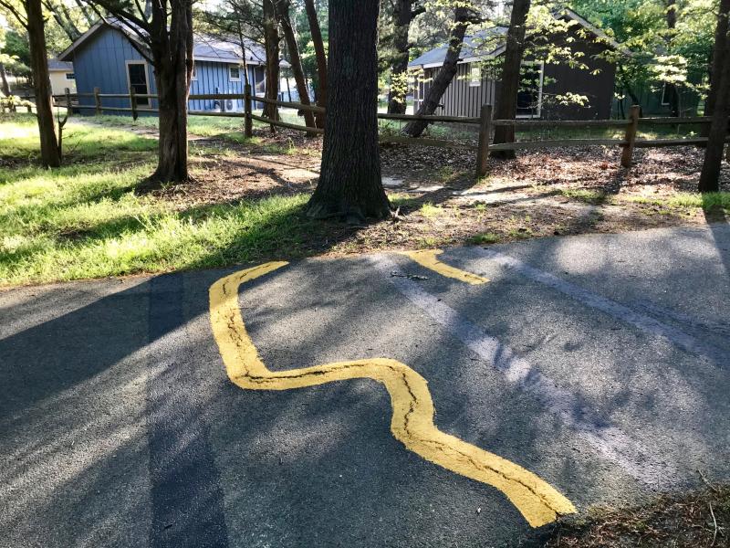 This big backward question mark asks when the Cape Henlopen State Park campground and cabins will reopen. The answer is maybe sometime in June. Actually, the paint marks bumpy ruptures in the trail ready for repair.