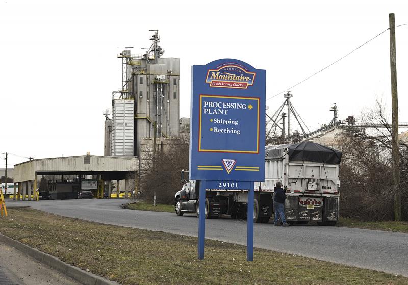 A labor union representing 1,000 employees of Mountaire Farms has filed a complaint with the National Labor Relations Board alleging that Mountaire violated federal labor laws. The union and Mountaire have been in a legal battle for months as an employee initiated a petition to decertify the union, leading the local to allege that Mountaire was giving preferential treatment to employees campaigning against the union. FILE PHOTO
