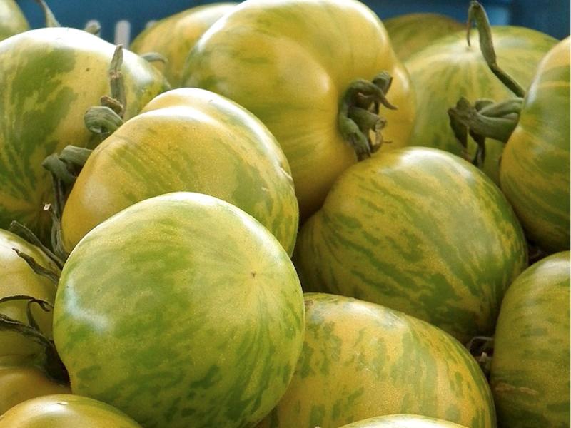 Green zebra tomatoes look great on the plate | Cape Gazette