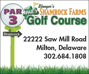 Stenger Shamrock Par 3