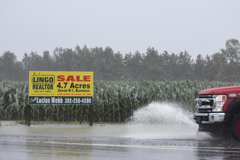 The cornfield at the corner of Cave Neck Road and Route 1 is getting plenty of water. NICK ROTH PHOTO