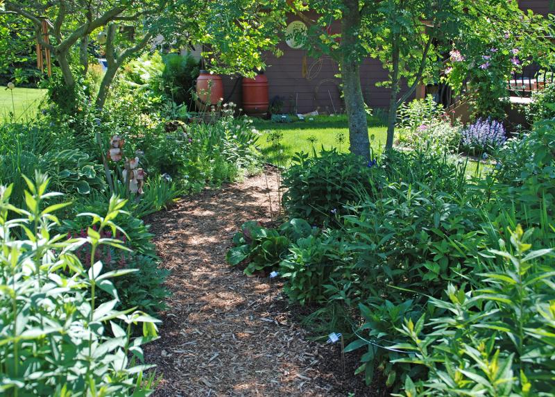 Mulching Paths And Walkways With Grass Clippings