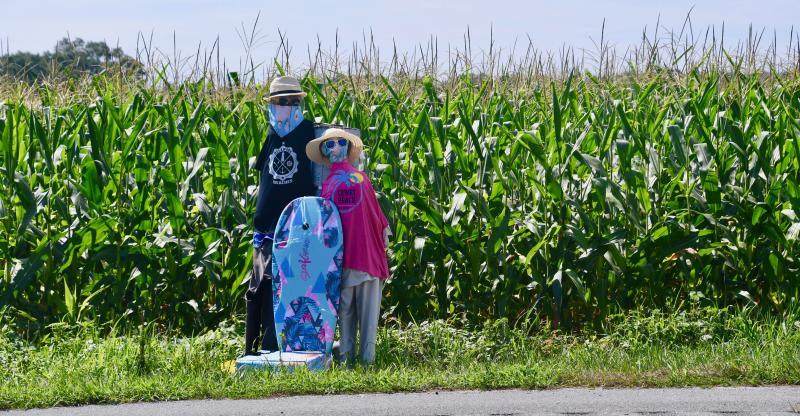 The Pole Family was dressed for the summer season and awaiting a changeover to fall attire when they were hit by a vehicle.