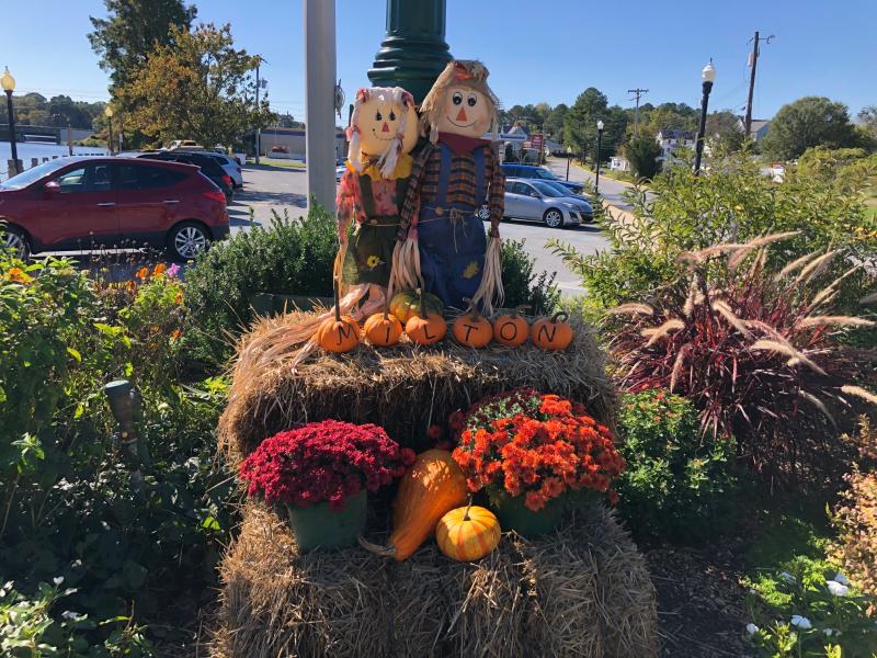 Downtown Milton is ready for Halloween, thanks to decorations supplied by the Milton Garden Club. RYAN MAVITY PHOTO
