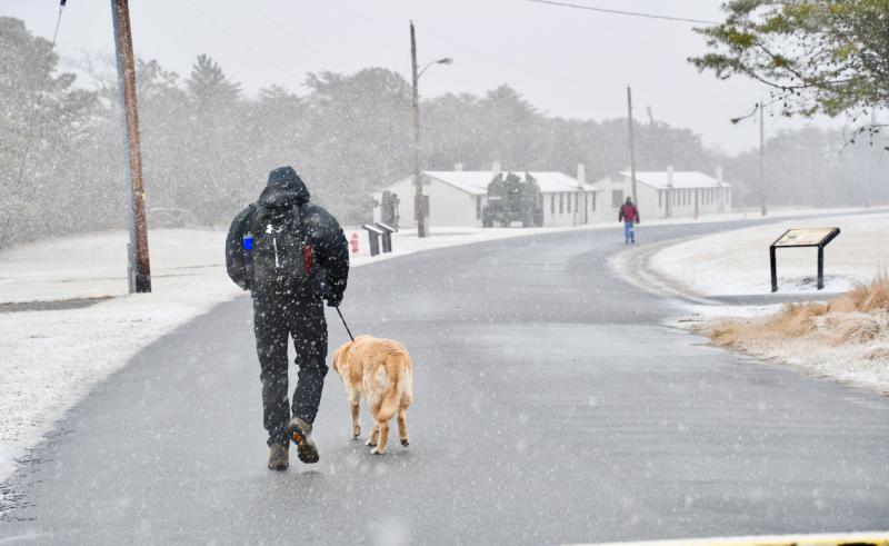 Hikers brave the snow and wind to take a walk through Fort Miles at Cape Henlopen State Park. RON MACARTHUR PHOTO