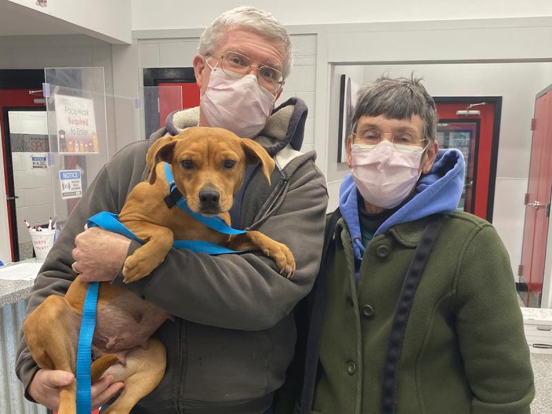 Rehoboth Beach mayor welcomes rescue dog into family | Cape Gazette Rehoboth Beach mayor welcomes rescue dog into family | Cape Gazette