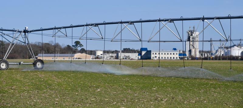 Mountaire Farms of Delaware’s poultry processing plant along Route 24 near Millsboro is moving forward with plans to upgrade its wastewater treatment facility. RON MACARTHUR PHOTO