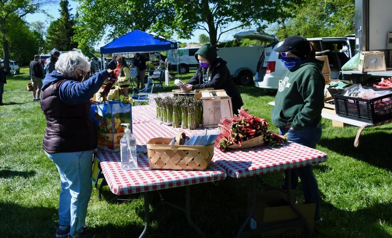 Fifer Orchards, with locations in Camden and Dewey Beach, has seasonal produce for sale including asparagus and rhubarb.