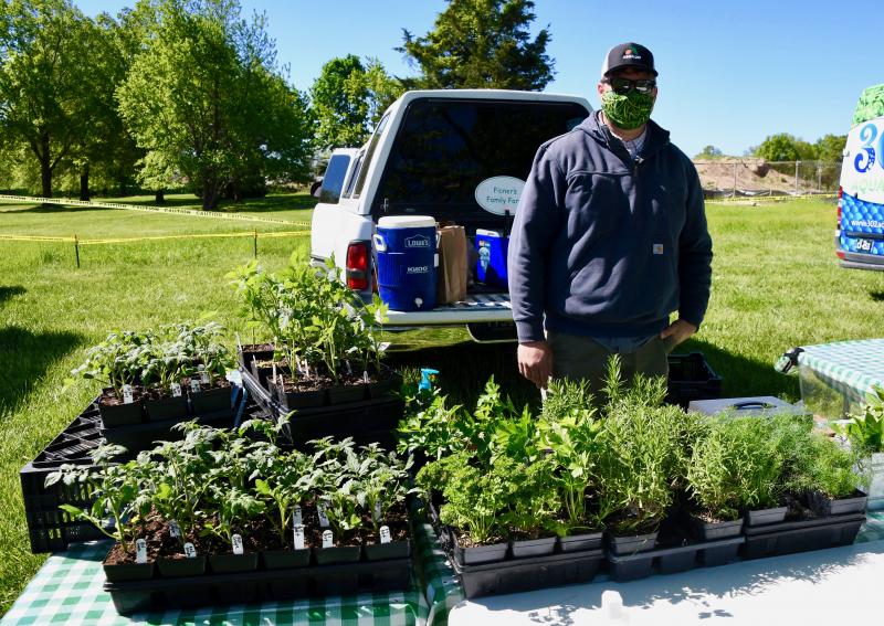 Justin Grimminger of Ficner’s Family Farm & Market in Dover has plenty of bedding plants available for spring planting.