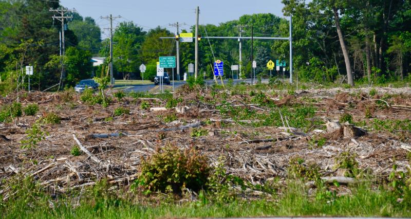 A tract of land along Long Neck Road and School Lane xx in the proposed Baywood Gardens project has been clear cut of trees by the current property owner.