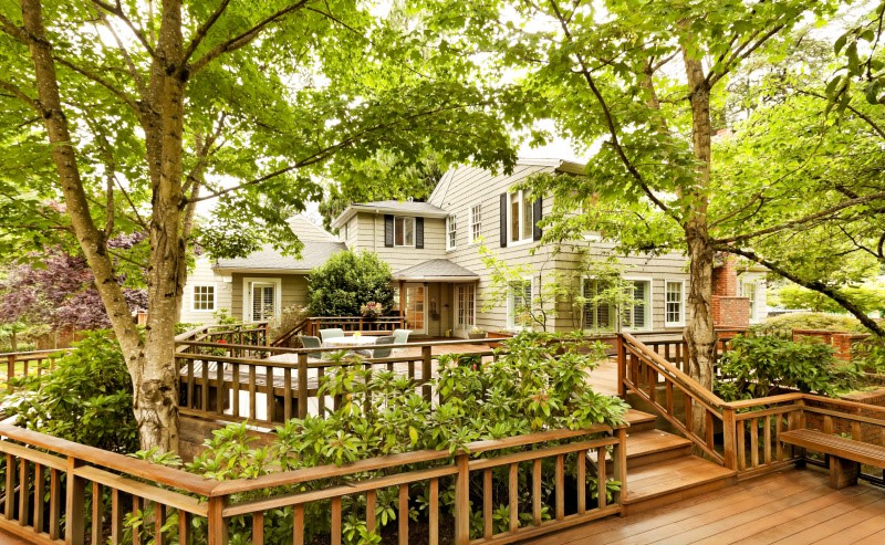Why You Shouldn't Plant Trees too Close to Your Deck or Shed