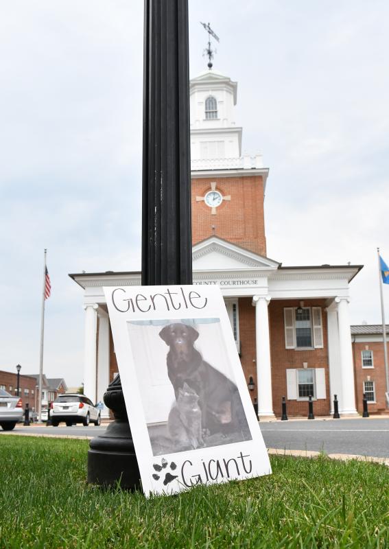 A sign shows Tank with his best friend, a cat. Tank was gentle and would never hurt anyone, according to his owner Jim Sekcienski.