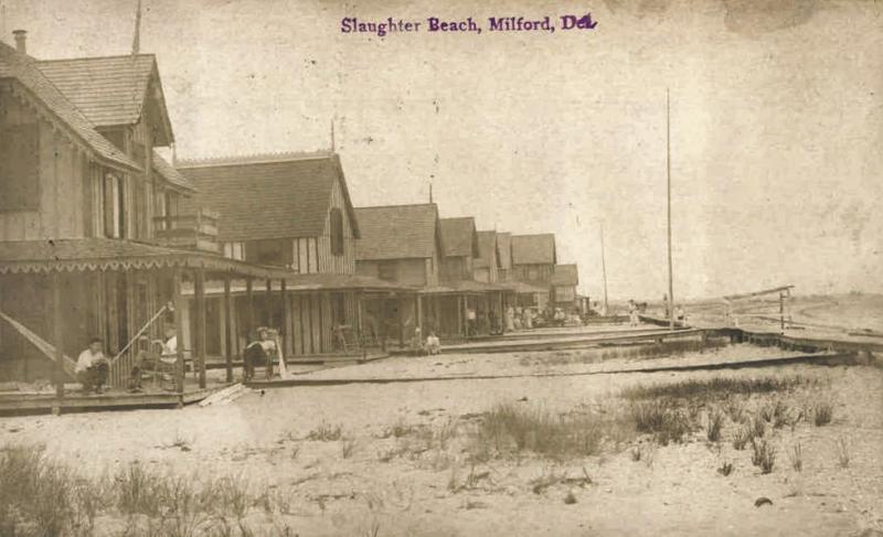 This postcard from about 1905 shows waterfront houses built just behind the dunes and on the beach at Slaughter Beach in Sussex County east of Milford. The houses were connected by a boardwalk built at sand level and running parallel to the Delaware Bay shore. Smaller catwalks provided access to the boardwalk from individual homes. DELAWARE PUBLIC ARCHIVES/GEORGE AND IRENE CALEY POSTCARD COLLECTION