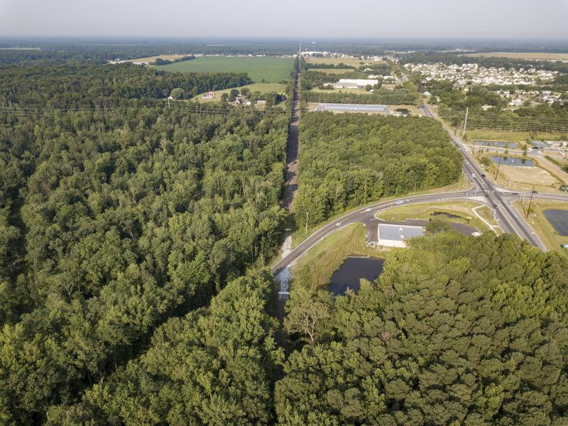 A section of the Lewes-Georgetown Trail, not yet constructed, will have access to the Monarch Glen subdivision. The former railroad bed for the trail cuts through the woods looking west toward Harbeson and Georgetown. NICK ROTH PHOTO