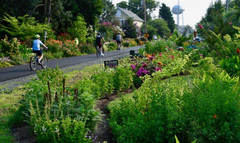 Beautiful gardens fill the area separating houses from the trail between Monroe and Jefferson avenues in Lewes.