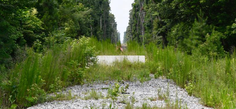 Monarch Glen will have a connector to the Lewes-to-Georgetown Trail, which will eventually run along the border of the property off Fisher Road.