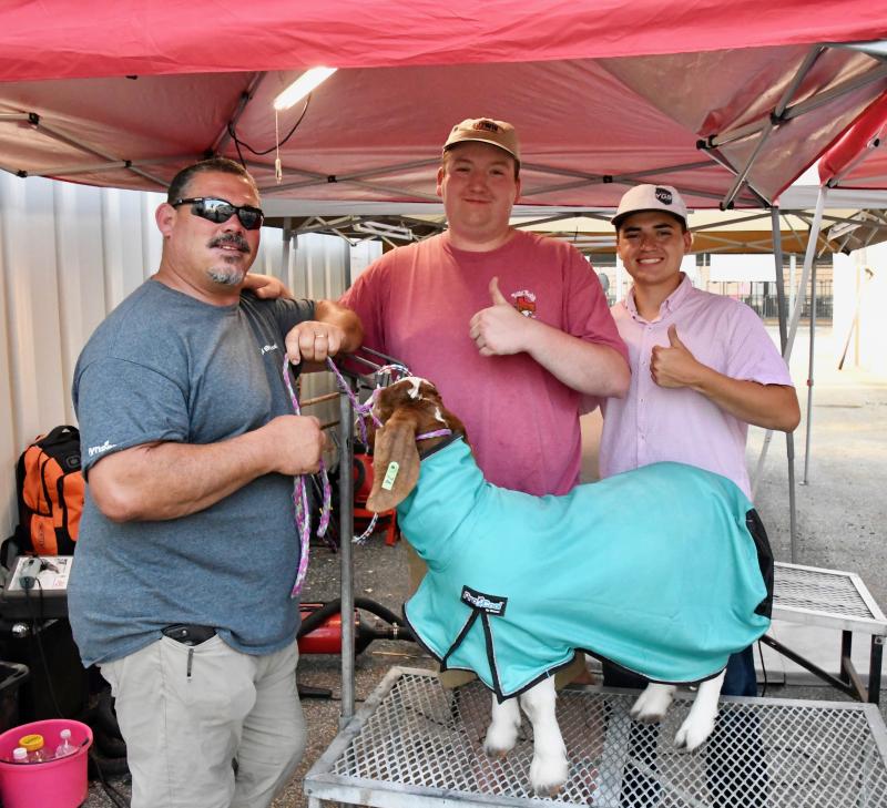 Getting their goat ready for competition are (l-r) Brian Hearn of Laurel, Nick Gardner of Washington, Pa., and Hayden Demniak of Carmichaels, Pa.