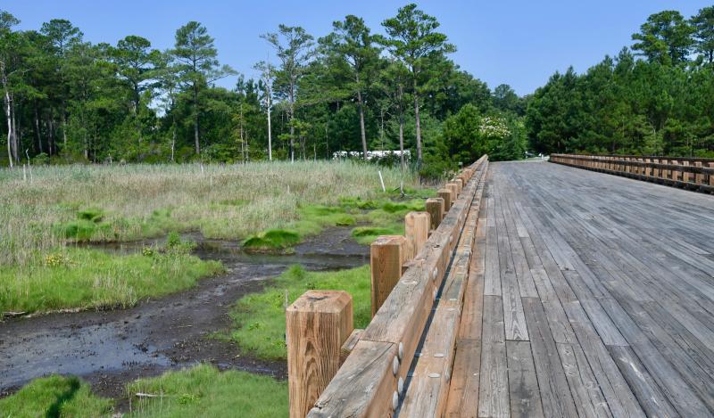 The Bayfront community contains a wooden bridge over a section of wetlands. Residents say the Terrapin Island developer should opt for bridges instead of paved roads over wetlands.