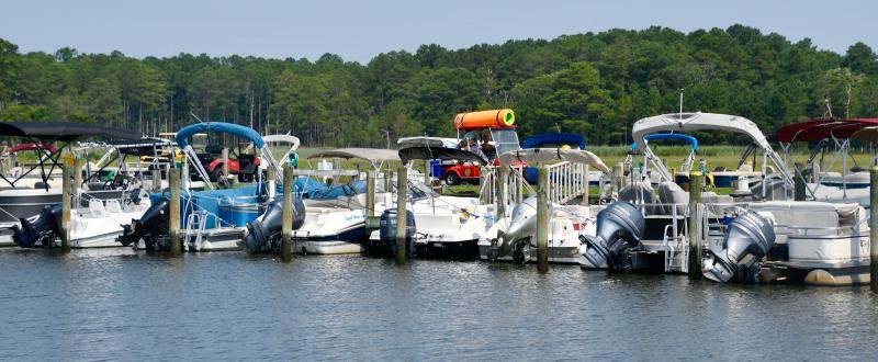 West Bay’s amenities include a large marina with access to Rehoboth Bay. The treeline in the background is the location of the proposed Terrapin Bay subdivision.